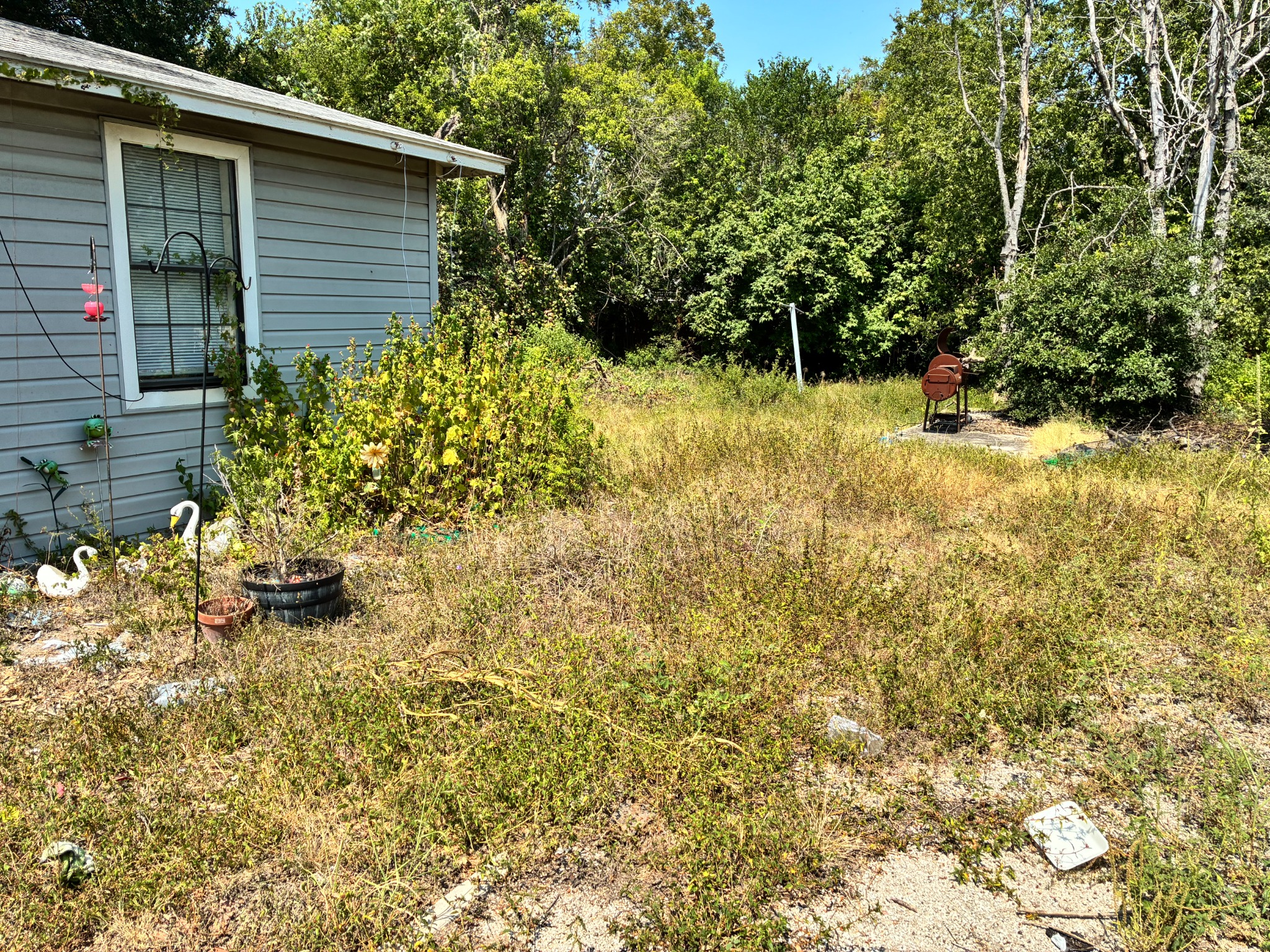 Before property recovery: tall grass and overgrowth beside the house
