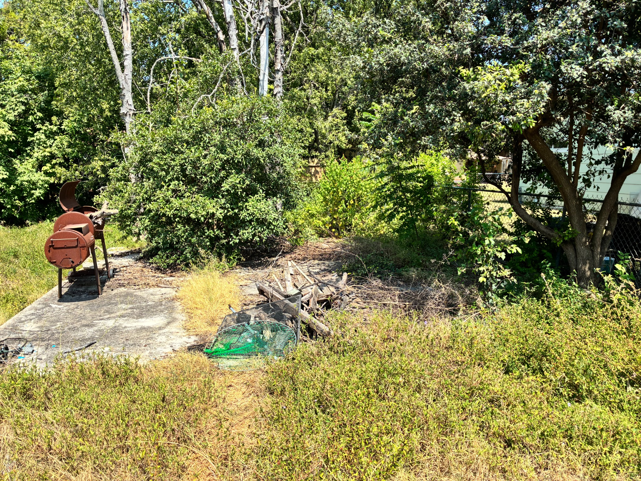 Before backyard cleanup: tall grass and accumulated material near the trees