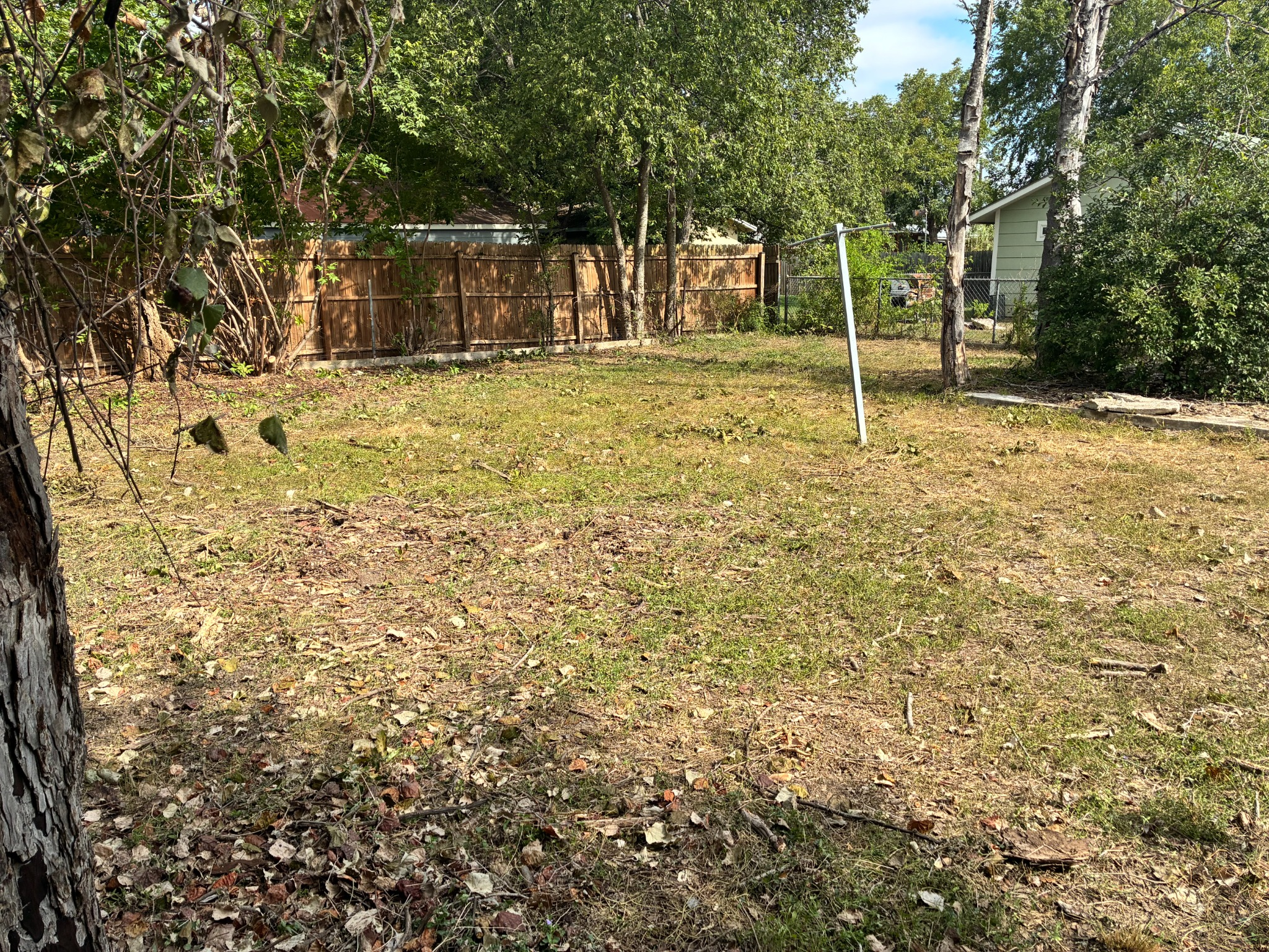 After backyard recovery: cut grass and open yard around the clothesline